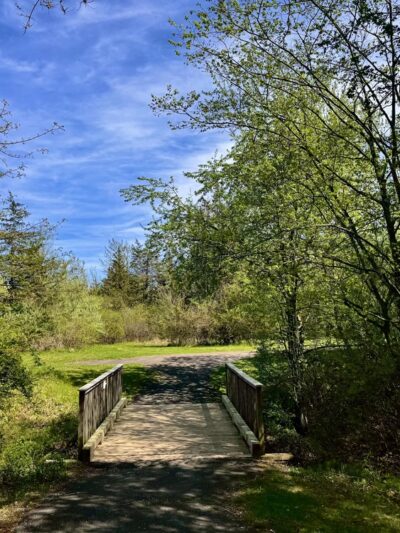 Pistol Creek - Berlin, CT