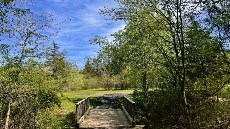 Pistol Creek - Berlin, CT