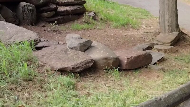 Pistol Creek - Berlin, CT