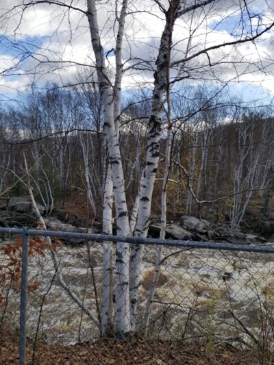 PSNH SMITH HYDRO PARK - Berlin, NH