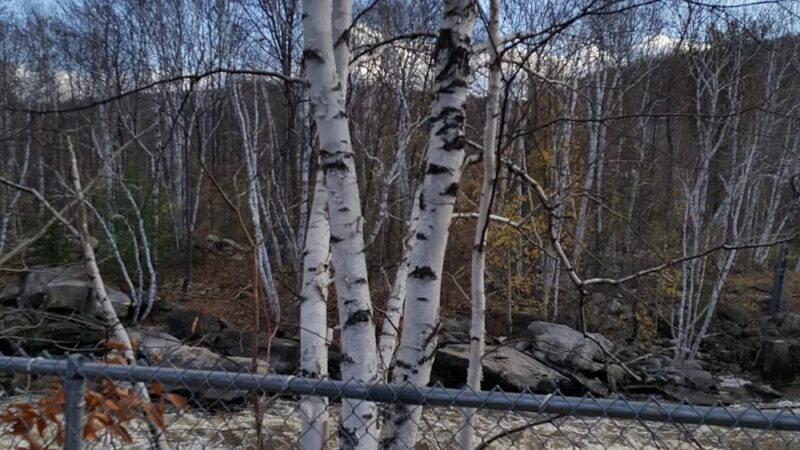 PSNH SMITH HYDRO PARK - Berlin, NH