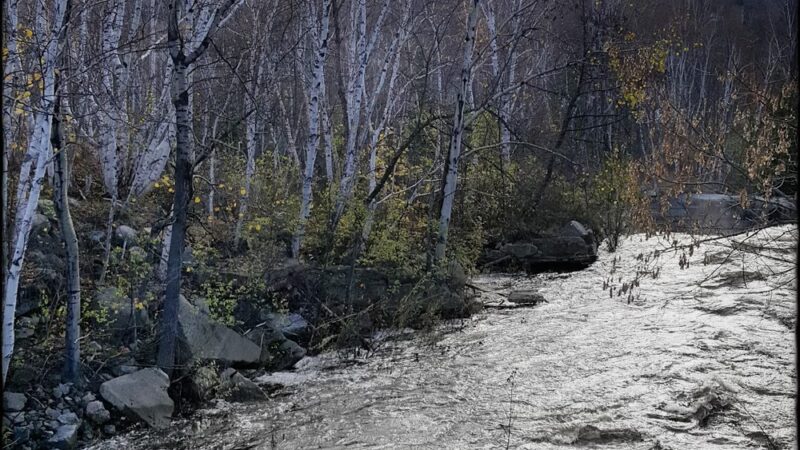 PSNH SMITH HYDRO PARK - Berlin, NH