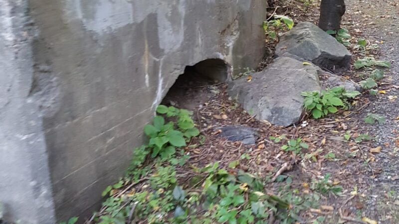 PSNH SMITH HYDRO PARK - Berlin, NH