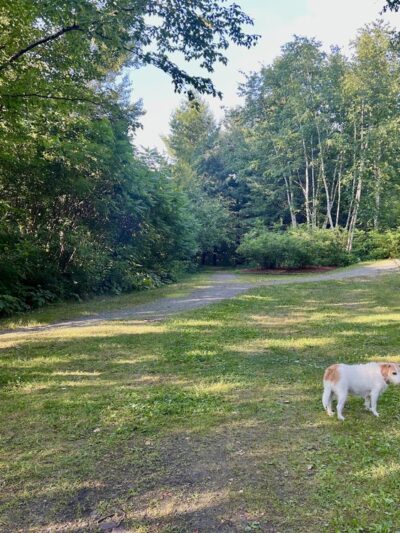 PSNH SMITH HYDRO PARK - Berlin, NH