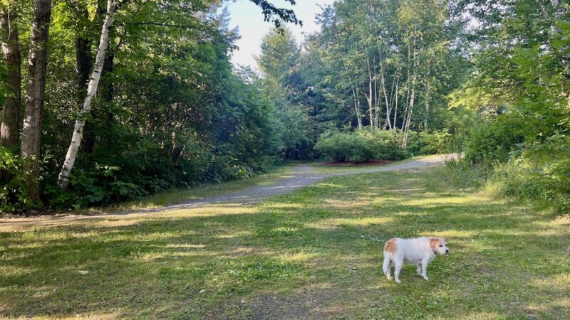 PSNH SMITH HYDRO PARK - Berlin, NH