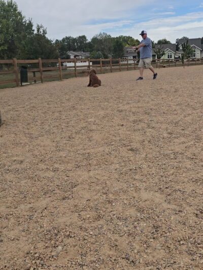 Berthoud Dog Park - Berthoud, CO