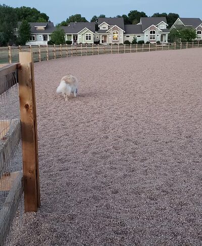 Berthoud Dog Park - Berthoud, CO