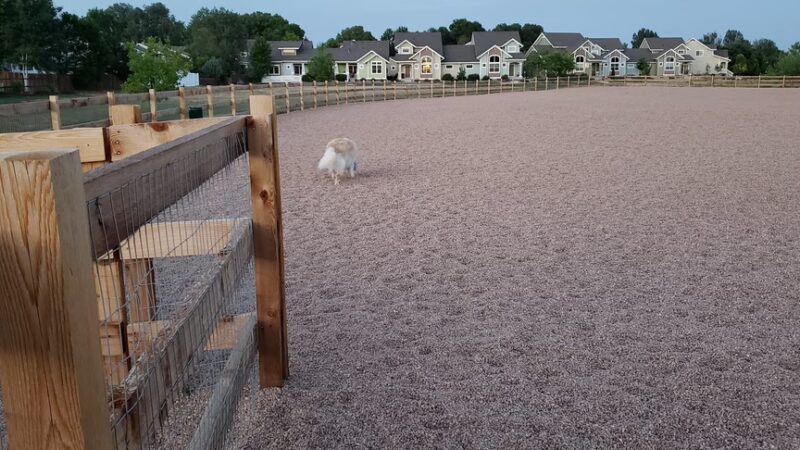 Berthoud Dog Park - Berthoud, CO
