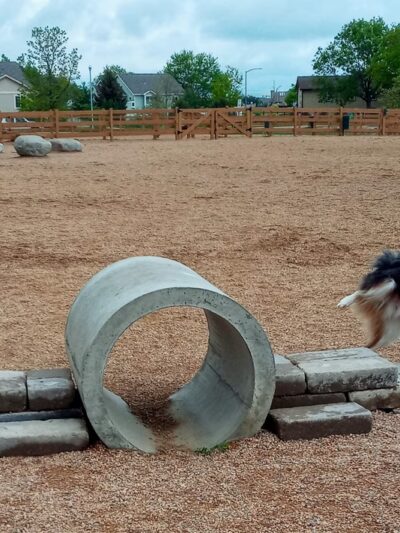 Berthoud Dog Park - Berthoud, CO