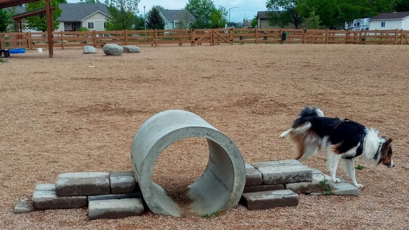 Berthoud Dog Park - Berthoud, CO