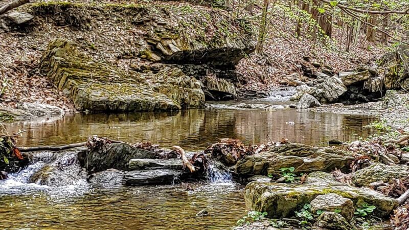 Crabby Creek Park - Berwyn, PA
