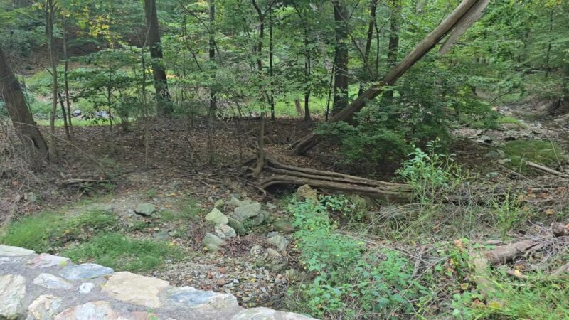 Crabby Creek Park - Berwyn, PA