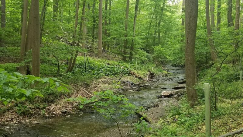 Crabby Creek Park - Berwyn, PA