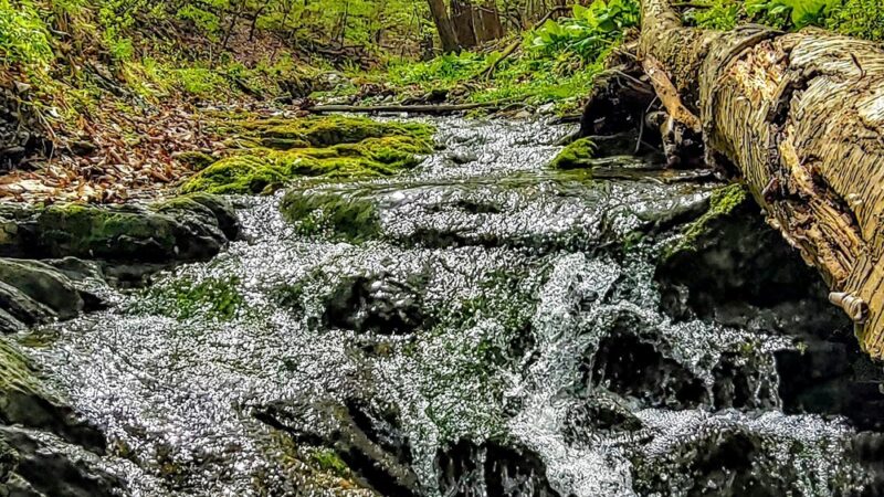 Crabby Creek Park - Berwyn, PA