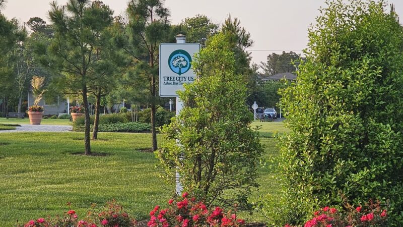 Bethany Beach Central Park - Bethany Beach, DE