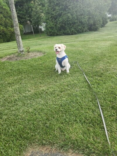 Bethany Beach Central Park - Bethany Beach, DE