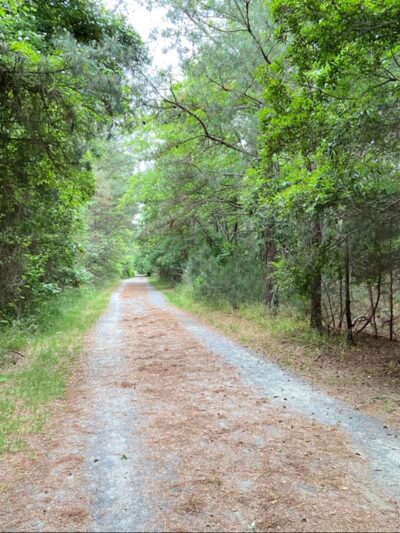 Fresh Pond Trailhead - Bethany Beach, DE