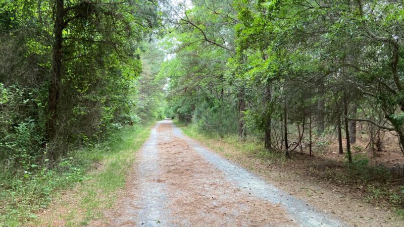 Fresh Pond Trailhead - Bethany Beach, DE