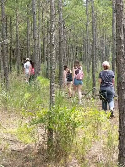 Fresh Pond Trailhead - Bethany Beach, DE