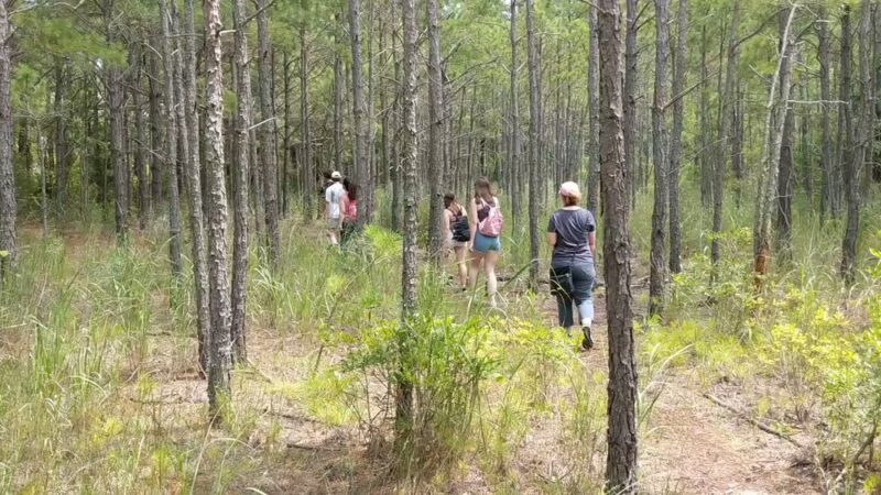 Fresh Pond Trailhead - Bethany Beach, DE