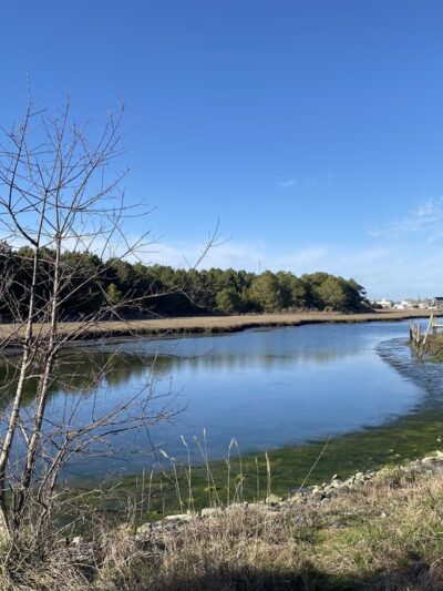Fresh Pond Trailhead - Bethany Beach, DE