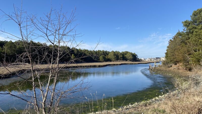 Fresh Pond Trailhead - Bethany Beach, DE