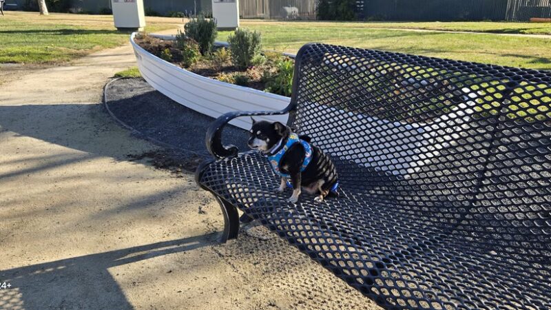 Bethel Island Community Park - Bethel Island, CA