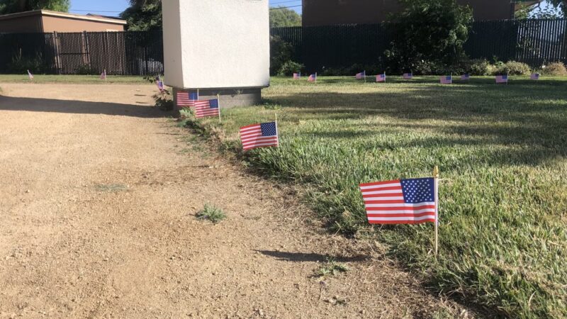 Bethel Island Community Park - Bethel Island, CA