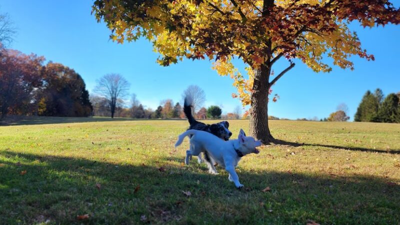 Crooked Creek Lake Recreation Area - Bethel Township, PA