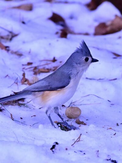 Crooked Creek Lake Recreation Area - Bethel Township, PA