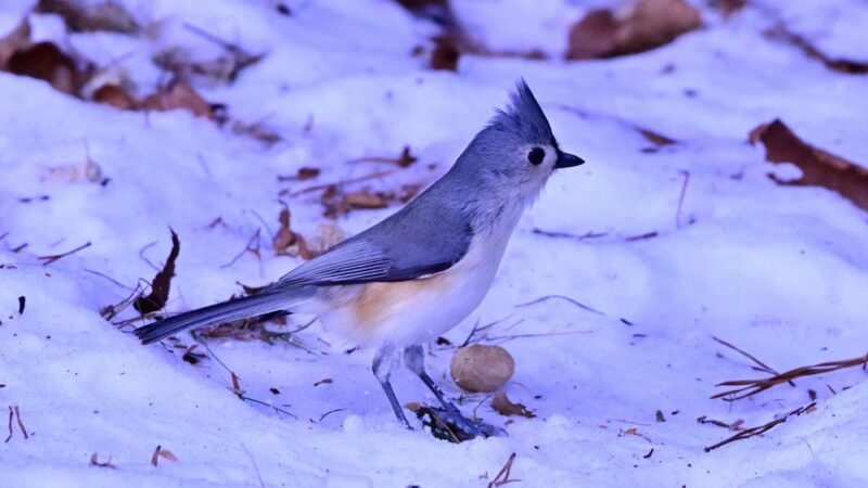 Crooked Creek Lake Recreation Area - Bethel Township, PA