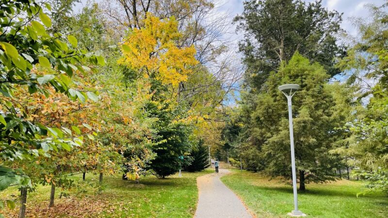 Bethesda Trolley Trail - Bethesda, MD