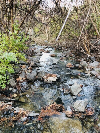 Bethesda Trolley Trail - Bethesda, MD