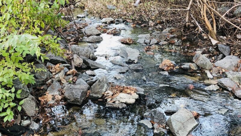 Bethesda Trolley Trail - Bethesda, MD
