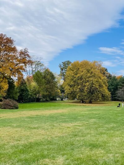 Bethesda Trolley Trail - Bethesda, MD