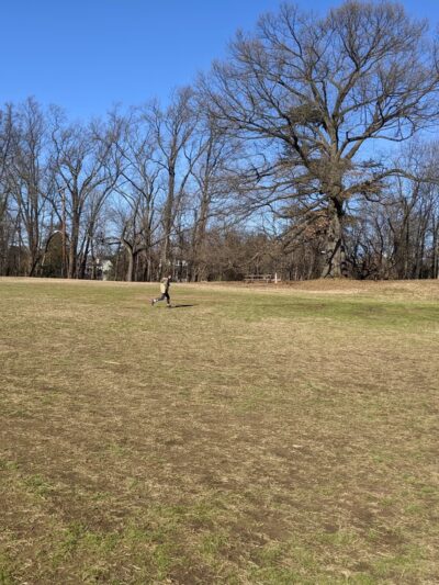 Boundary Park Neighborhood Conservation Area - Bethesda, MD