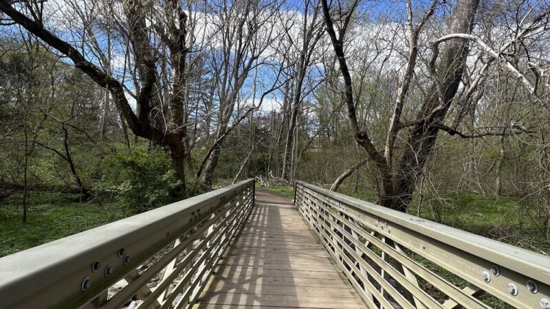 Capital Crescent Trail - Bethesda, MD