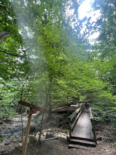 Capital Crescent Trail - Bethesda, MD