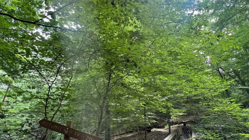 Capital Crescent Trail, Trailhead - Bethesda, MD