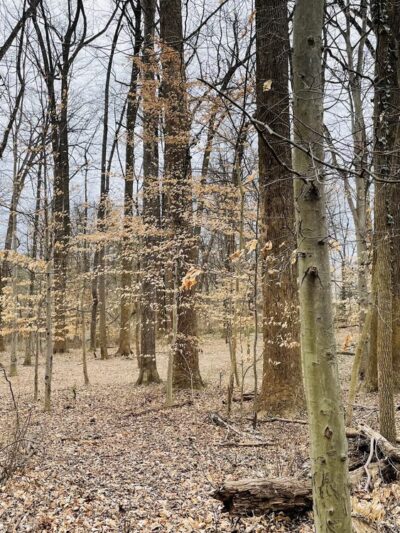 Capital Crescent Trail, Trailhead - Bethesda, MD