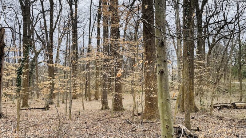 Capital Crescent Trail, Trailhead - Bethesda, MD
