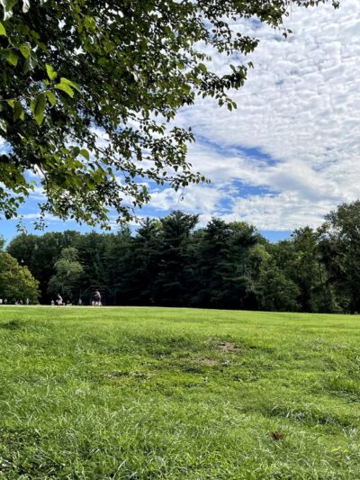 Fleming Local Park - Bethesda, MD