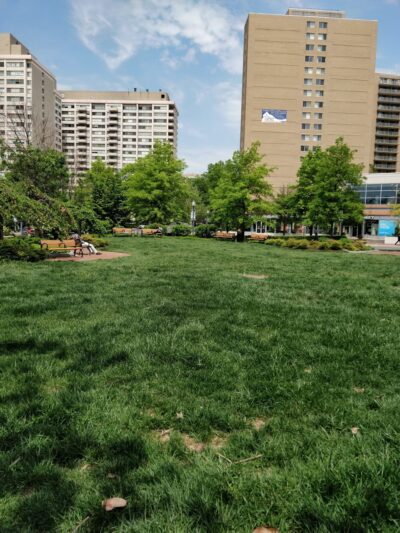 Friendship Heights Park - Bethesda, MD