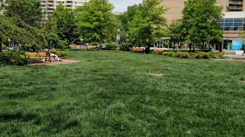 Friendship Heights Park - Bethesda, MD