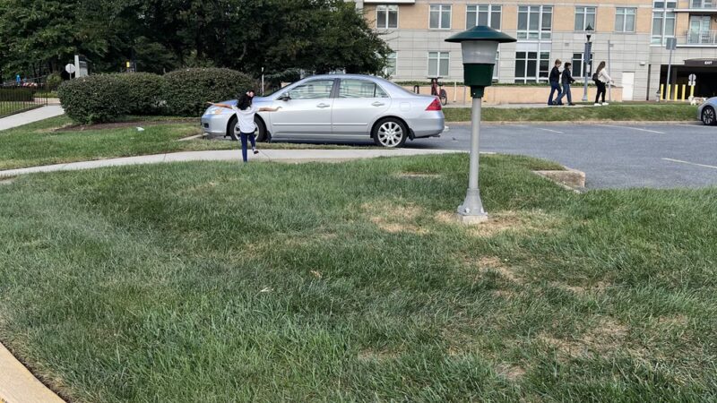 Friendship Heights Park - Bethesda, MD