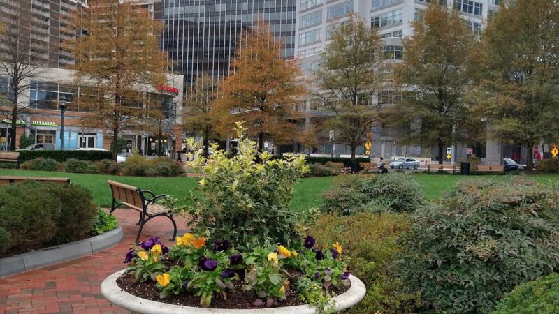 Friendship Heights Park - Bethesda, MD