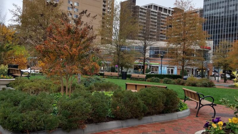 Friendship Heights Park - Bethesda, MD