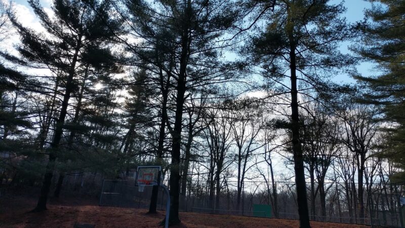 Hillmead Neighborhood Park - Bethesda, MD