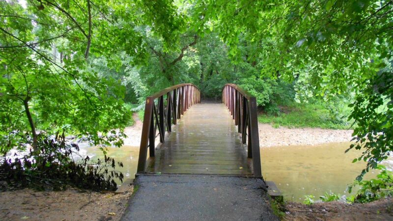 Little Falls Stream Valley Park - Bethesda, MD