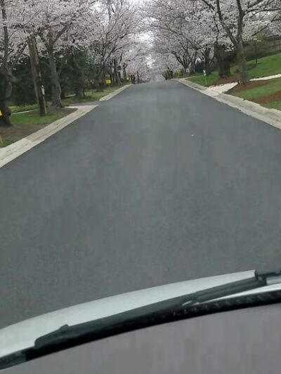 Little Falls Stream Valley Park - Bethesda, MD